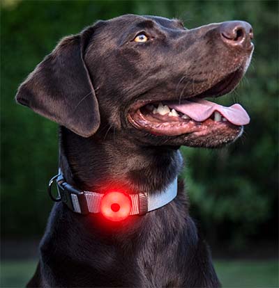 Coast Rechargeable Red Flashing Safety Light