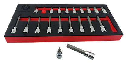 3/8" Standard & Long Allen Key Bit Socket Set + Free T-Handle Hex Key Set
